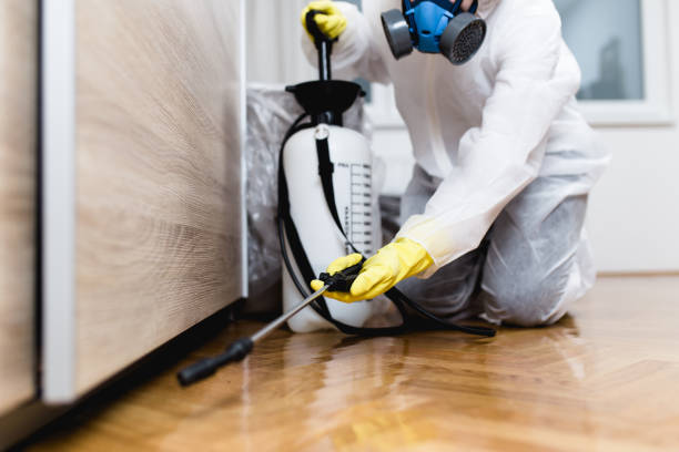 Best Termite Control Services  in Tullahoma, TN