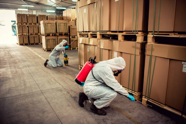 Best Best Pest Control Companies  in Tullahoma, TN