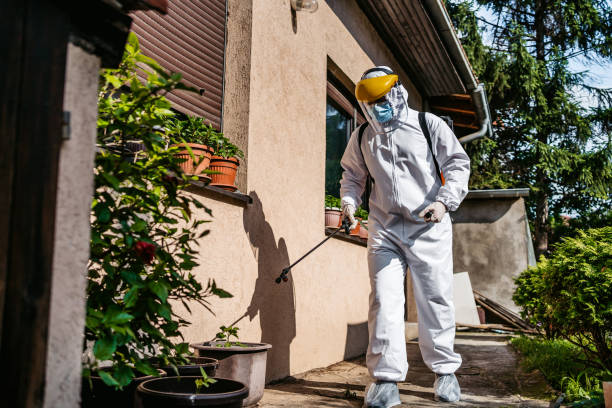 Best Affordable Pest Control Services  in Tullahoma, TN