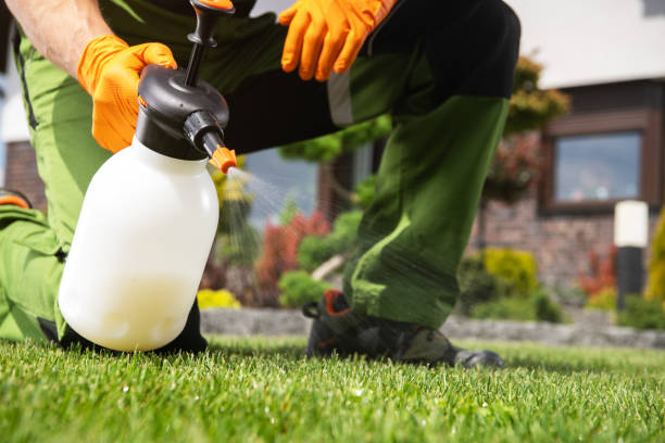 Wasp Removal Services in Tullahoma, TN