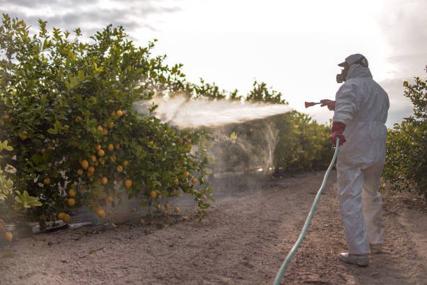Best Insect Control  in Tullahoma, TN