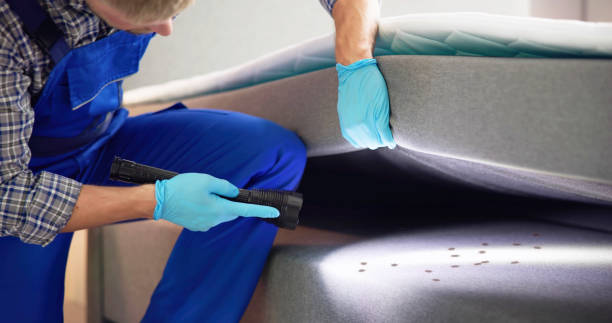 Best Cockroach Control Services  in Tullahoma, TN
