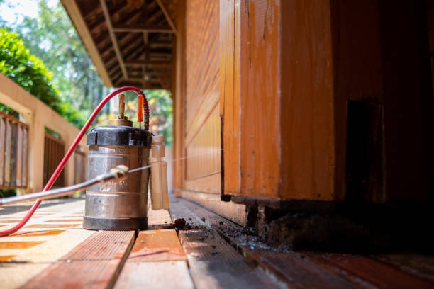 Best Mosquito Control Services  in Tullahoma, TN