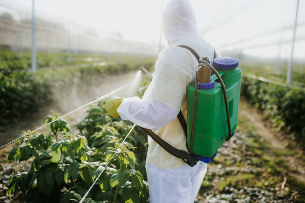 Best Flea Control Services  in Tullahoma, TN